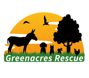 www.greenacresrescue.org.uk