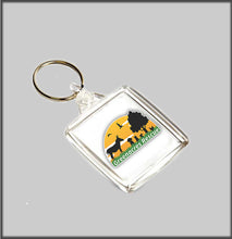 Load image into Gallery viewer, Greenacres rescue Keyring
