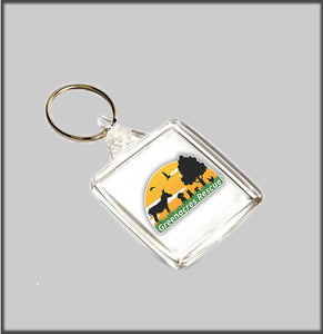 Greenacres rescue Keyring